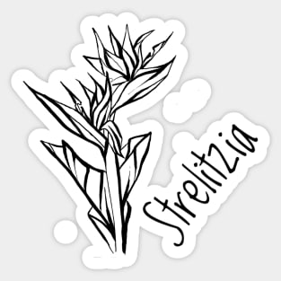 Strelitzia flower Sticker